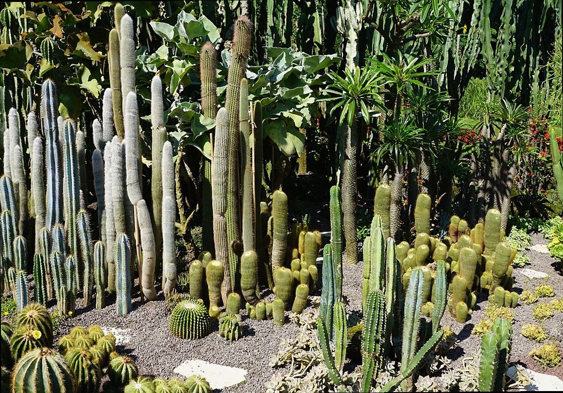 Plant Care Nest look 2
