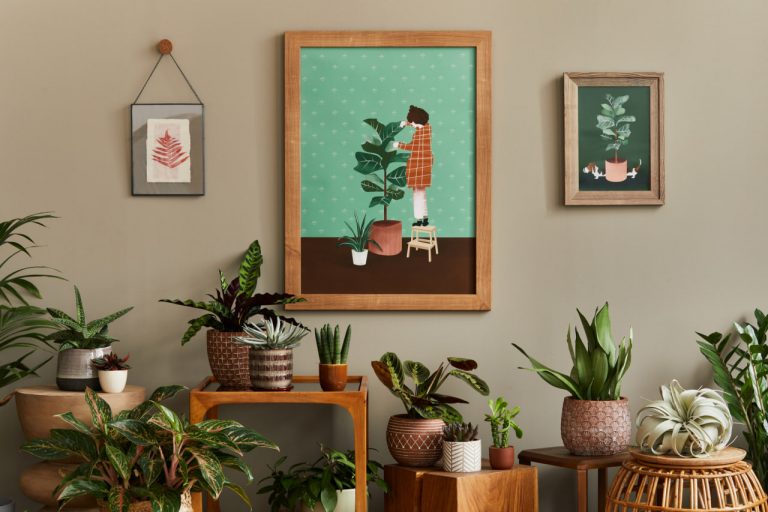 Interpreting the Signs: How Leaves, Soil, and Plant Form Guide You