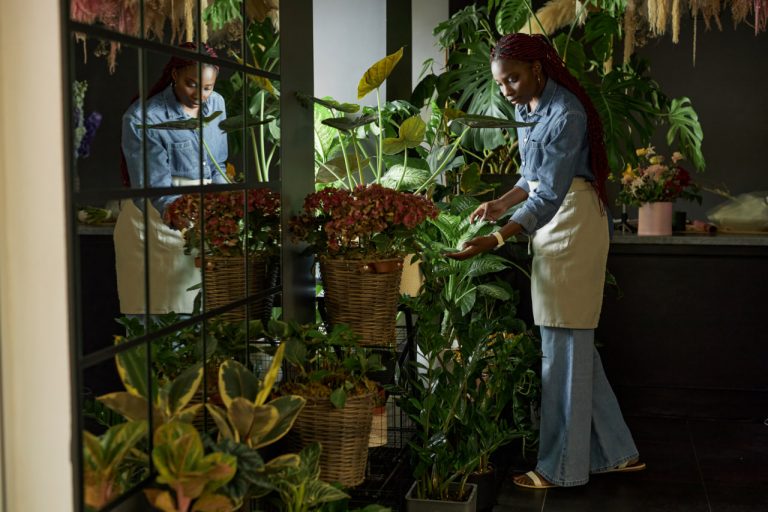 When and How to Repot Houseplants Without Stressing Them